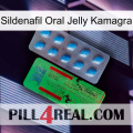 Sildenafil Oral Jelly Kamagra new03